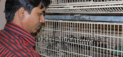 কোয়লের বাচ্চা খাচায় প্রবেশ করিয়ে উদ্বোধন করছেন আমাদের শ্রদ্ধেয় ঈমাম স্যার। যুব প্রশিক্ষণ কেন্দ্র, নারায়ানগঞ্জ।